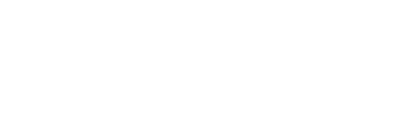 Moviqo, a product of Mega Move India